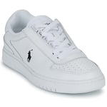 Baskets basses Polo Ralph Lauren  POLO CRT PP