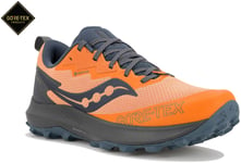 Saucony Peregrine 14 Gore-Tex M Chaussures homme