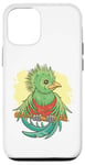 Coque pour iPhone 12/12 Pro Dessin animé mignon oiseau Quetzal