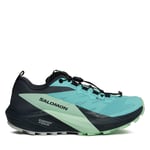 Löparskor Salomon Sense Ride 5 Gore-Tex L47216000 Blå