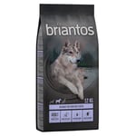 Ekonomipack: 2 påsar Briantos till lågpris! Grain Free Anka & potatis (2 x 12 kg)