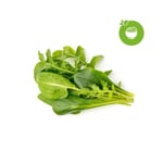 Click and Grow Smart Garden Refill 9-pack Grønn Salat Mix