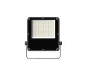 LED-valonheitin PROFI PLUS LED/150W/230V 5000K