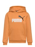 Ess+ 2 Col Big Logo Hoodie Fl B Sport Sweat-shirts & Hoodies Hoodies Orange PUMA