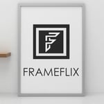 FrameFlix Silver Photo Picture Poster Frames Large Square Small A1 A2 A3 A4 A5