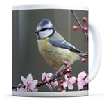 Blue Tit Bird - Drinks Mug Cup Kitchen Birthday Office Fun Gift#15719