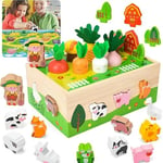 Montessori - Jouet de motricité - Carottes en bois - Jouet de motricité pour enfants à partir de 1, 2, 3 ans - Cadeau pour fille garçon et enfant de 1, 2, 3 ans