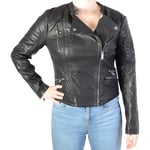 Blouson Pepe jeans  Veste Ewan Black PL401086