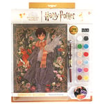 DIAMANTINY Harry Potter - Yume Fantasy - Kit Créa Le Mosaique, Activité Crystal Art, Diamond Painting, 1 Tableau Assortie Maison, Multicolore, Small, 21008