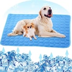Jorisa Pet Cooling Mat,Dog Cat Summer Cooling Pad Cushion Ice Silk Self Cooling Blanket Sleeping Bed Mat Heat Relief Mattress for Pet Dog Cat Puppy(XL:100x70cm,Blue)