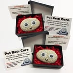 FUNNY NOVELTY GIFT IDEAS -TWIN PACK PET ROCK ® - IDEAL BIRTHDAY PRESENTS GIFTS