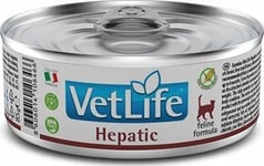 Farmina Pet Foods Farmina Kot Vet Life Hepatic Puszka 85G /12