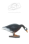 WILD LIFE 3D TARGET – CANADIAN GOOSE