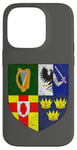 iPhone 14 Pro IRELAND FLAG ARMS OF THE FOUR PROVINCES IRISH Case