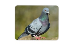 Funky Grey Pigeon Mouse Mat Pad - Ornithology Twitcher Fun Computer Gift #15752