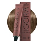 Schwarzkopf Igora Color10 7-0 Medium Blonde 60ml