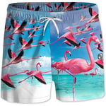 Maillots de bain Freegun  Boxer Bain Flottant Homme FCEFLA Bleu Rose