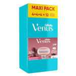 Gillette Venus Miami Sunset ComfortGlide Lot De 3x4 Recharges De Rasoir Pour Femmes, À 3 Lames Et 2 Barres Hydratantes Pour Un Rasage En Douceur Sans Crème À Raser