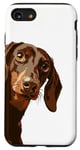 Coque pour iPhone SE (2020) / 7 / 8 Teckel chocolat regardant autour des amoureux des chiens