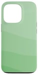 Coque pour iPhone 13 Pro Motif vagues unies, monochromatiques, vert clair