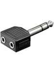 Pro Audio adapter 2xMiniJack F - Jack m