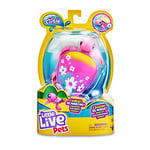 Little Live Pets - Beachbloom Molona Turtles, Interactive Pet Nothing in the Water and Moving on Earth Like a True Animal, Toy for Boys and Girls Ages 5, Famous (LPU08200)