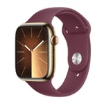 Apple Watch Series 9 41mm GPS + Cellular Stainless Steel (Kunnostettu, kunto uudenveroinen)