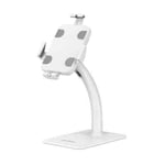 Manhattan Desktop Kiosk Stand (Anti theft) for Tablet and iPad Universal 360 ...