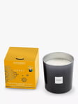 Esteban Ambre Scented Candle, 450g