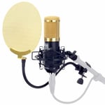 Microphone Studio Grande Condensateur Enregistrer Set Étui Filtre Anti Pop Or