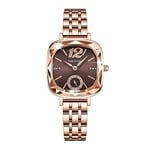 Basfur Dress Watch Fe-Montre-033-01