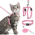 PAWCHIE Harnais pour Chat avec Laisse et Collier – Harnais réglable Anti-Fugue Qui Brille dans Le Noir pour Promenade en Plein air