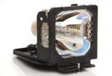 CoreParts Lampe - 170 watt - 2000 timer - for Toshiba TDP-T250  T250U  TW300  TW300E  TW300U