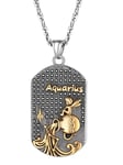 PROSTEEL Chaîne Pendentif Plaque Militaire Collier Homme Verseau Acier Inoxydable Orné de Strass Noir