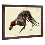 Big Box Art Framed Print of Vintage Harry Johnston The King of The Widow-Finches Design | Wall Art Picture| Home Decor for Kitchen, Living Room, Bedroom, Office, Walnut, A2 / 24.5x18 Inch / 62x45cm