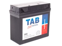 Tab AGM 51913 12V 18Ah/10h BMW