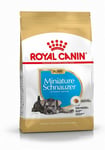 Royal Canin Miniature Schnauzer Puppy Dry Dog Food - 1.5kg