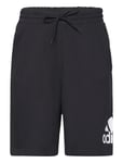 Adidas Sportswear Essentials Big Logo French Terry Short Svart