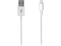 Vivanco Ipad/Iphone/Ipod Datenkabel/Ladekabel [1X Apple Dock-Stecker Lightning - 1X Usb 2.0 Stecker A] 1 M W (33772)