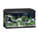 Akvarium Primo 60 Black 2.0 61X31X37 cm, ca 57L - Akvaristen - Akvarium & møbler - Akvarium - Juwel