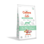 Calibra Dog Life isokokoisille nuorille pennuille kanan kanssa, 2,5 kg