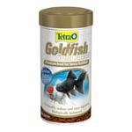 Tetra Goldfish Gold Japan