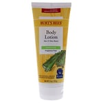 Burts Bees Lotion pour le corps à l'aloès et au beurre de karité pour unisexe Lotion pour le corps 6 oz