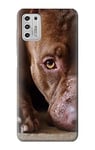 Pit Bull Face Case Cover For Motorola Moto G Stylus (2021)