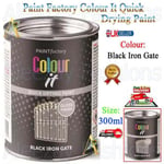 RAPIDE PF Paint Factory Colour It Tin Paint Iron Gate Gloss Black Durable 300ML