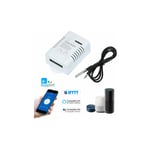 Lakjwo - eWeLink TH-16 Smart Wifi Switch 16A/3500W Surveillance de la temperature Kit domotique sans fil avec capteur de temperature etanche DS18B20