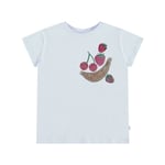 Molo Ranva Short Sleeve T-Shirt Shiny Fruits | Blå | 116 cm