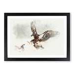 Big Box Art Eagle Attack in Abstract Framed Wall Art Picture Print Ready to Hang, Black A2 (62 x 45 cm)