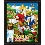 PCmerch Sonic The Hedgehog - Catching Rings 3D poster med ram