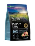 Dog Puppy Lamb & Potatoes Hundfoder 1kg